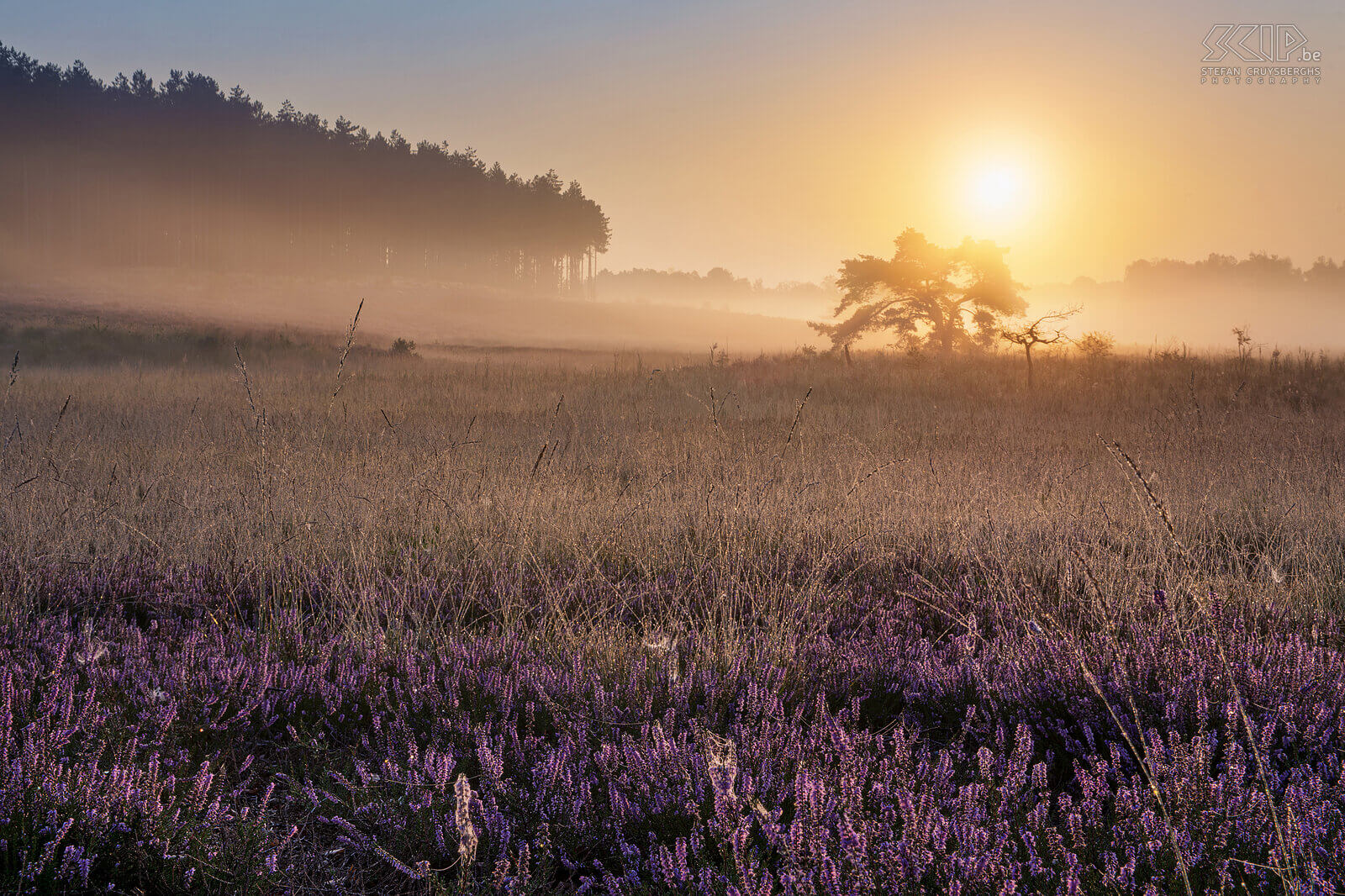 Zonsopgang op de Teut De Teut in Zonhoven, Limburg Stefan Cruysberghs